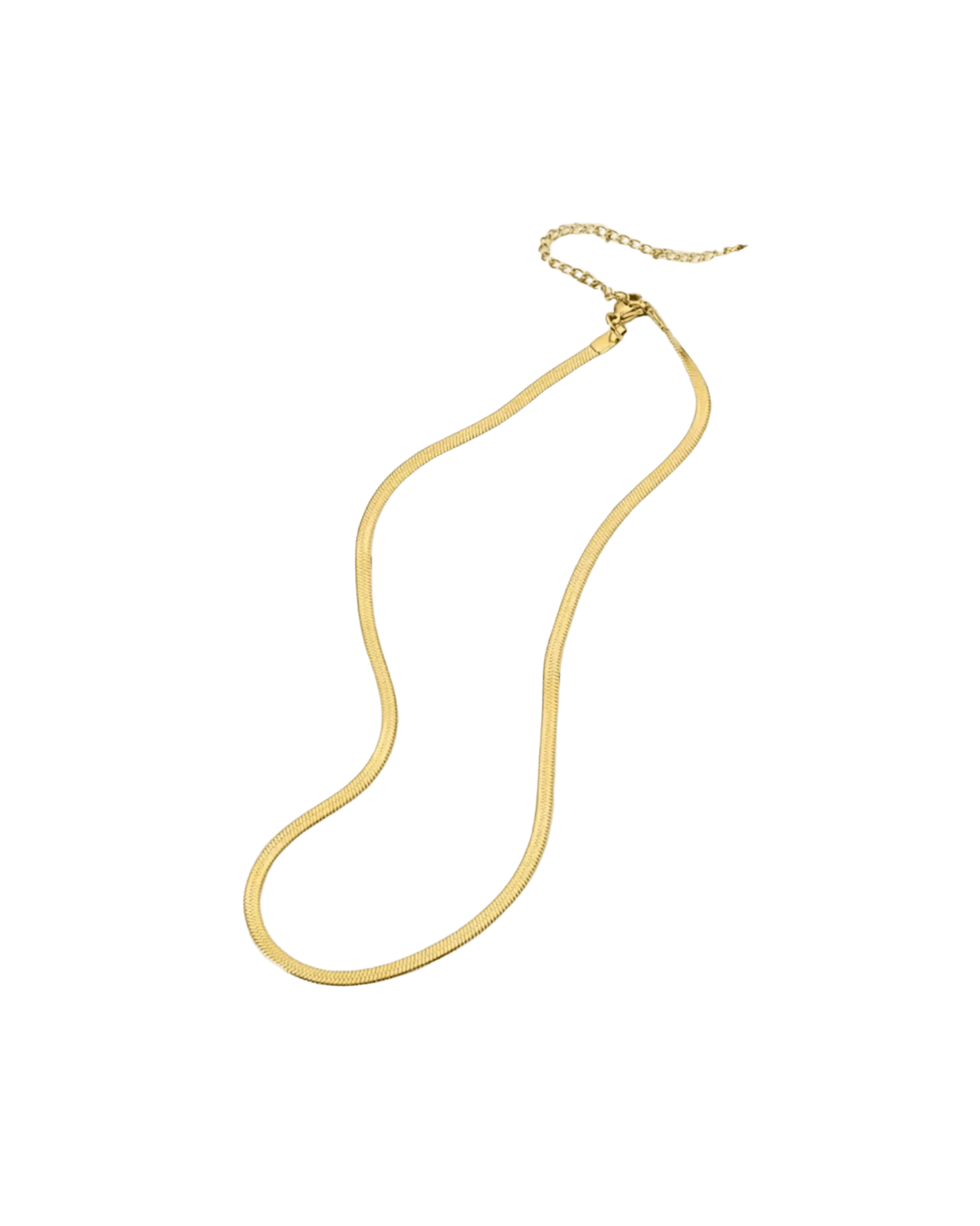 Collier La Flat Snake doré waterproof & hypoallergénique HÉMÉRA