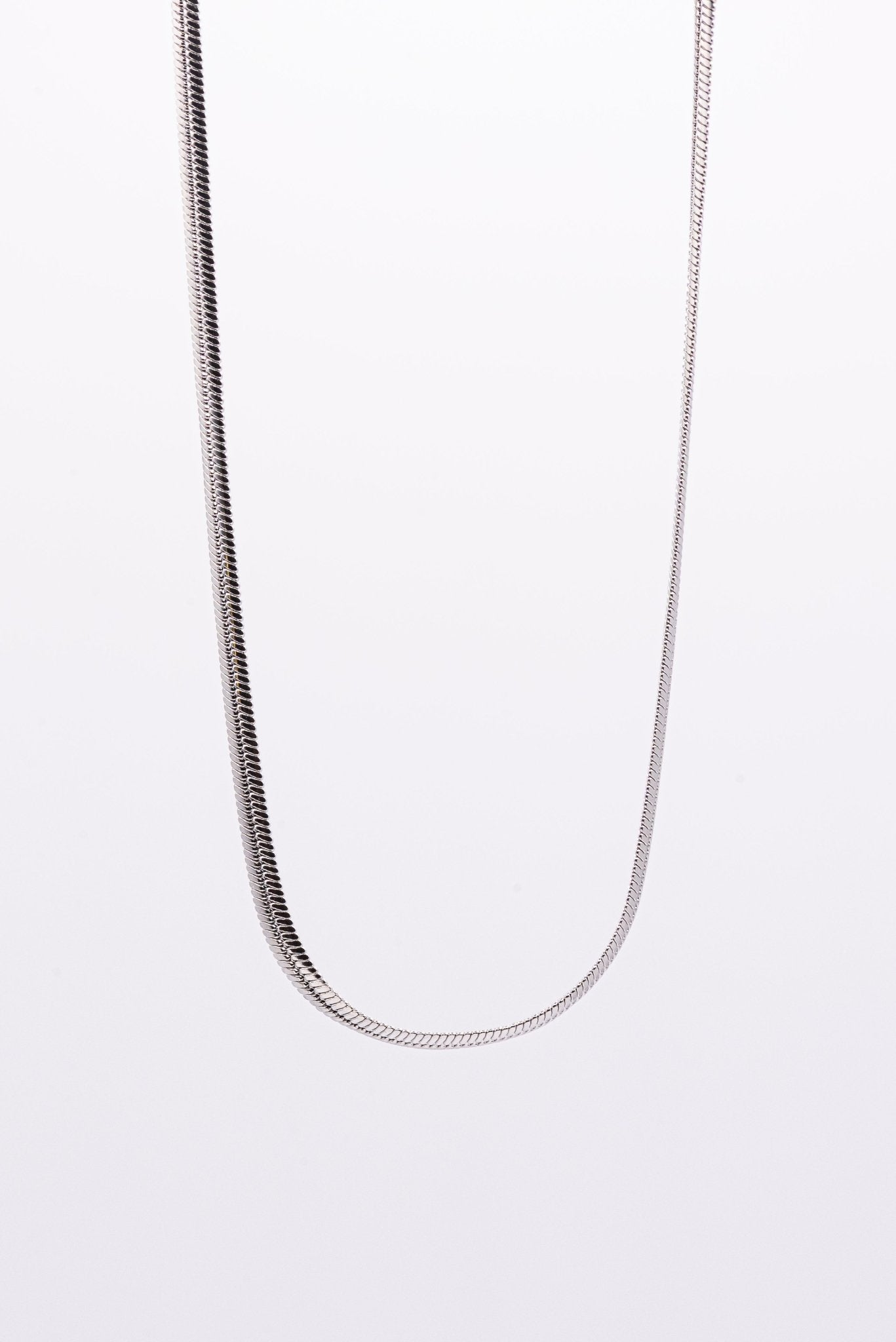 La mini flat snake - Héméra