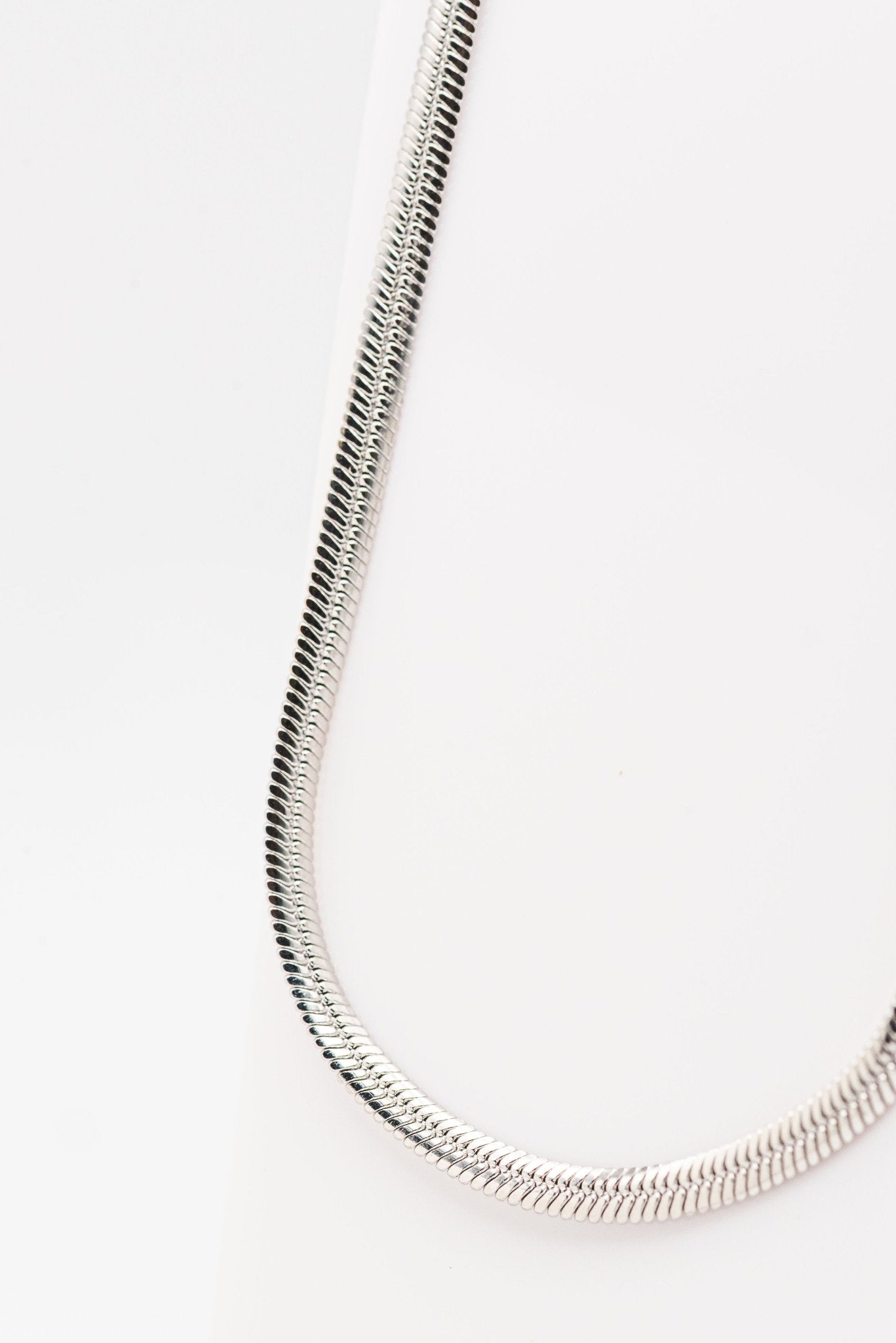 La mini flat snake - Héméra