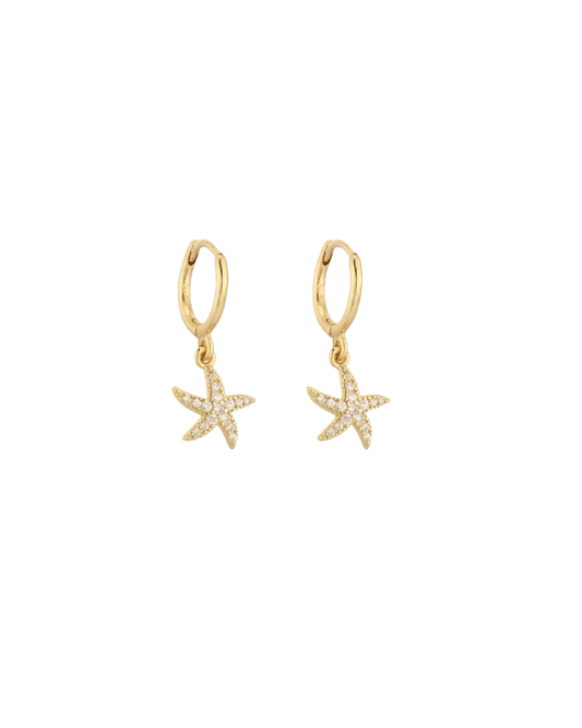 Boucles d'oreilles La Ocean Star anneaux dorés ou argentés étoile de mer zircon waterproof & hypoallergéniques HÉMÉRA